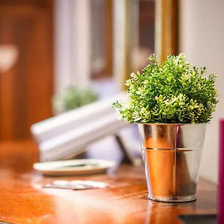 Alloggio Afrodite Bed & Breakfast Verona